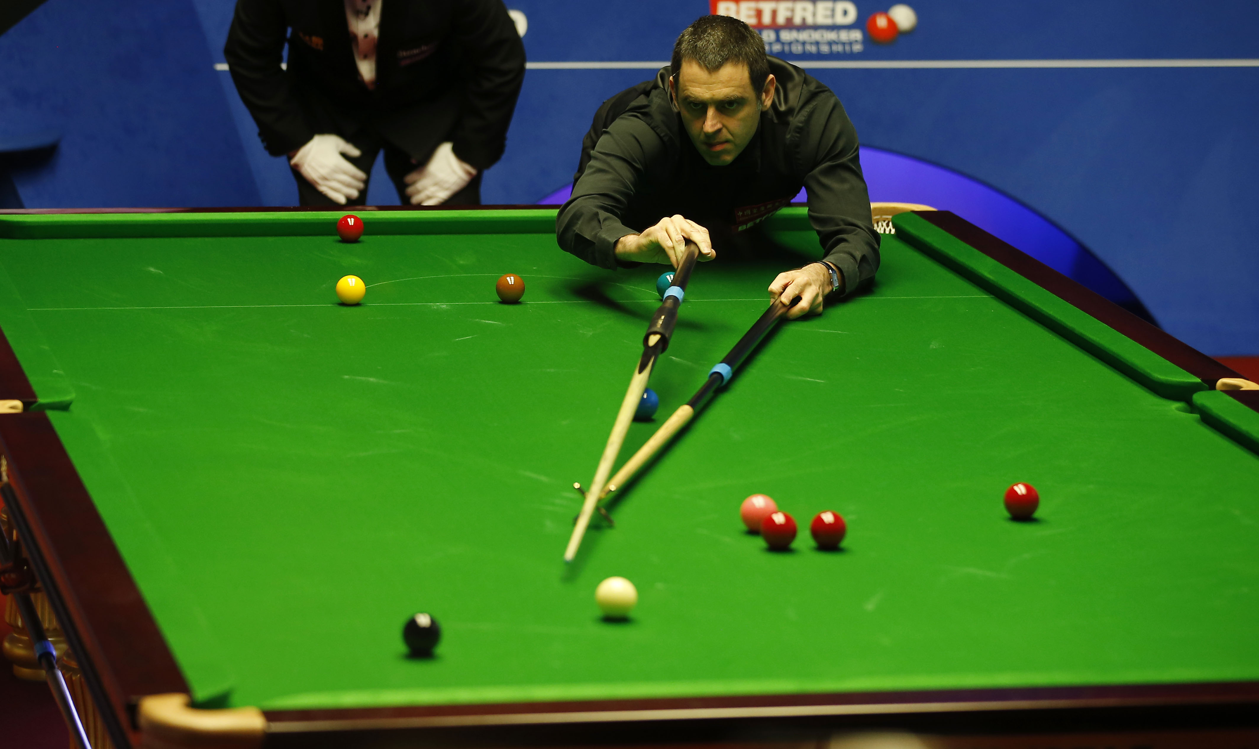 他们不仅需 他们不仅需