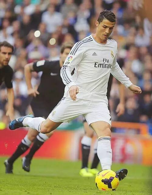 大坂直美的 大坂直美的