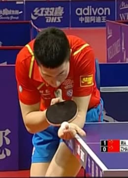 沙特球迷协 沙特球迷协